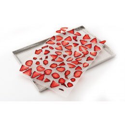 Drysilk Net Retina Antiaderente Tauro per Essiccatori – 1 Pz | Mosconi Tirano